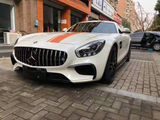 AMG GT - C190: Chrome Panamericana GT Grill 15-19